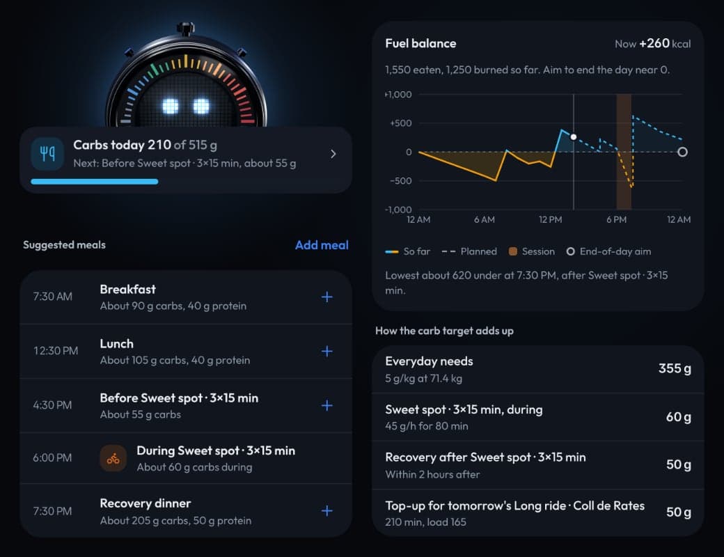 The Carbs today line at 210 of 515 g, suggested meals, the fuel balance chart and how the carb target adds up.